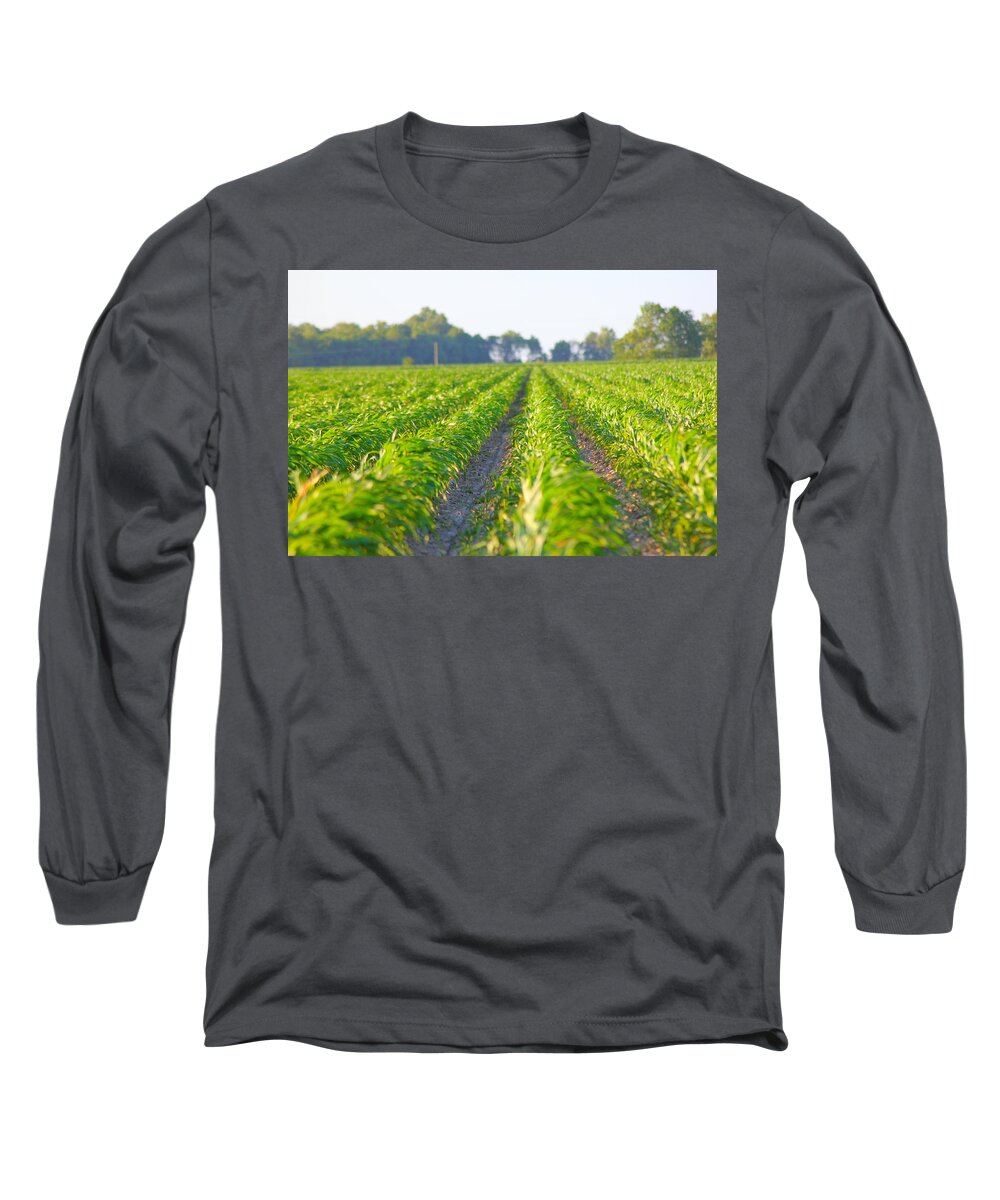 Crop Long Sleeve T-Shirt featuring the photograph Agriculture- Corn 1 by Karen Wagner