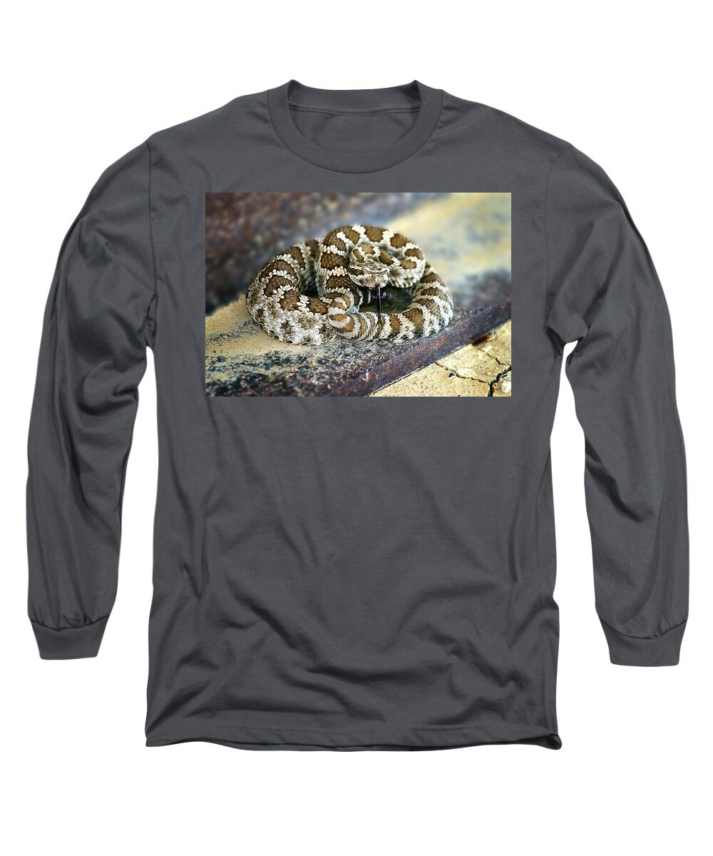 Rattle Snake Long Sleeve T-Shirt featuring the photograph Baby Rattle by Anthony Jones