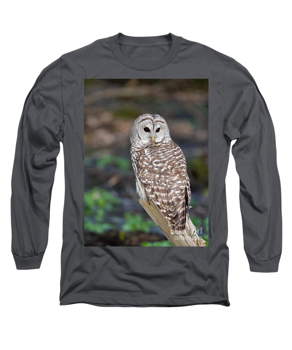 Animal Long Sleeve T-Shirt featuring the photograph Barred Owl by Les Palenik