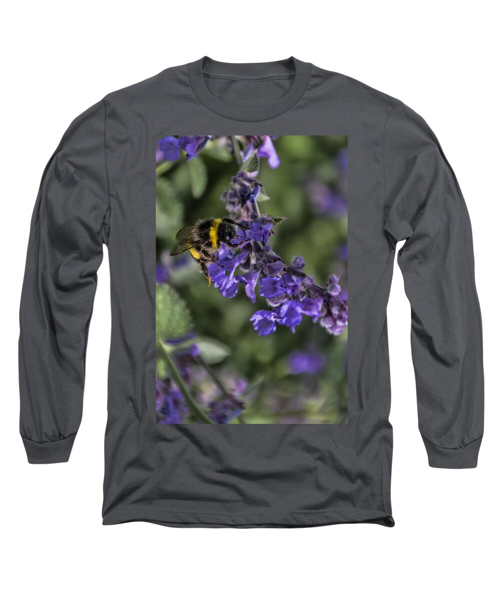 Bee Long Sleeve T-Shirt featuring the photograph Bee by David Gleeson