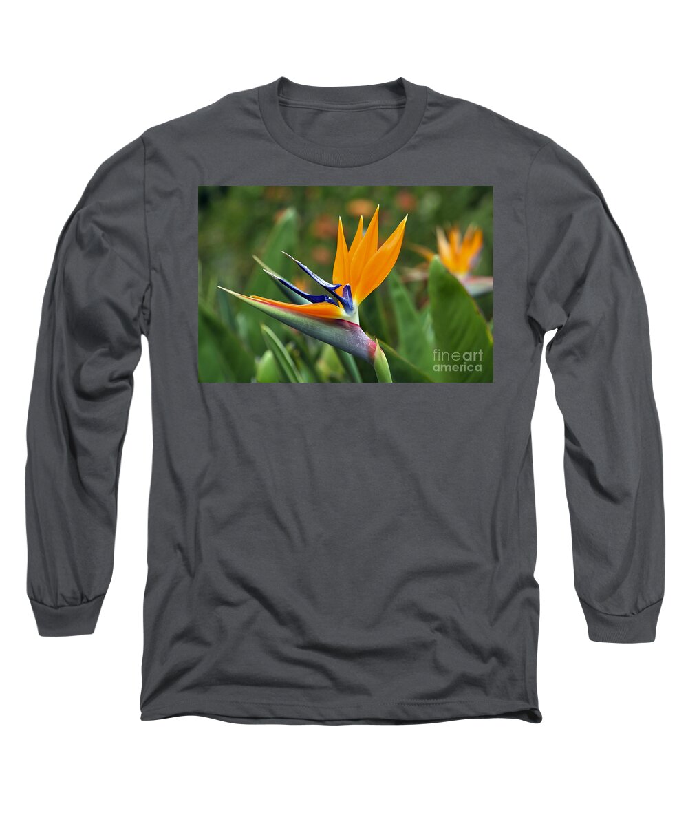 Flower Long Sleeve T-Shirt featuring the photograph Bird of Paradise by Teresa Zieba
