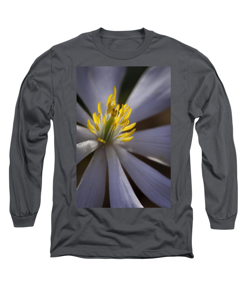  Landscape Photographs Long Sleeve T-Shirt featuring the photograph Bloodroot in Sunbeam by Rob Travis