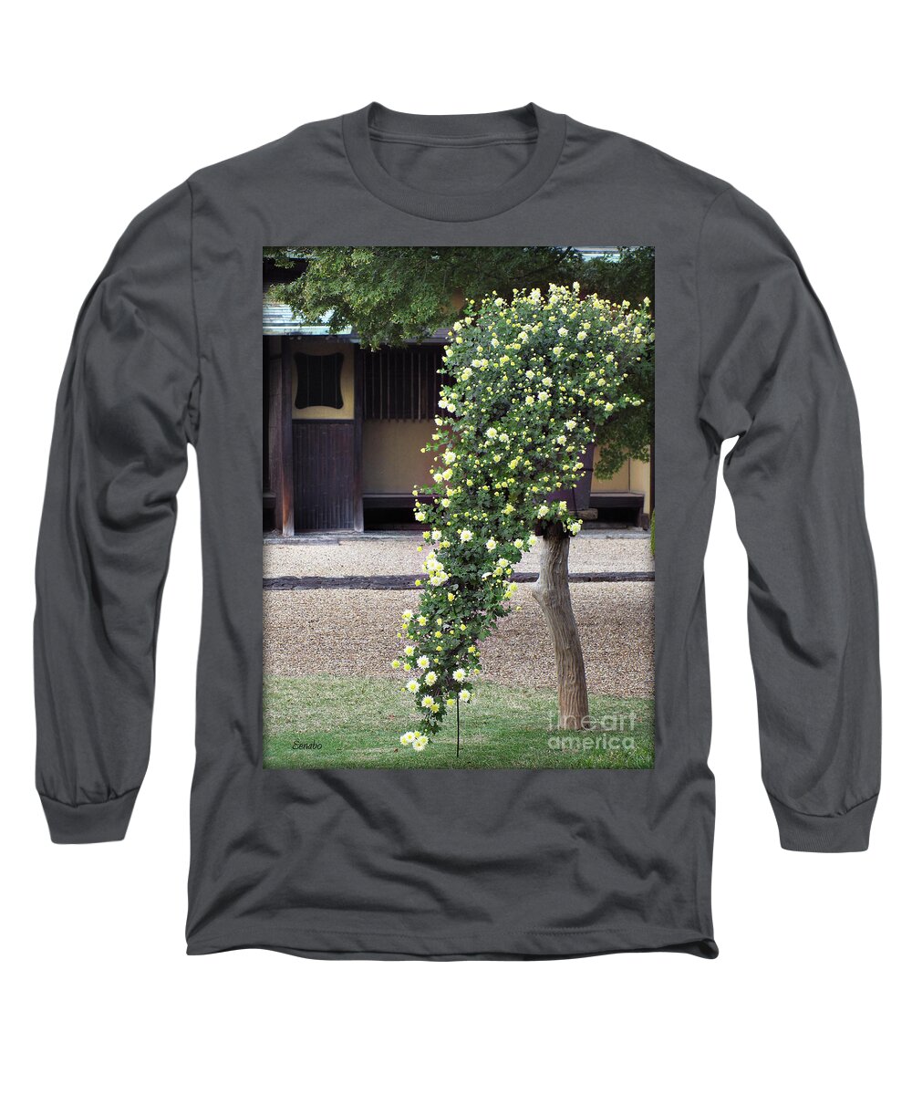 Bloom Long Sleeve T-Shirt featuring the photograph Blooming by Eena Bo