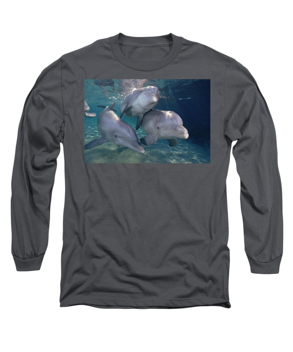 Mp Long Sleeve T-Shirt featuring the photograph Bottlenose Dolphin Trio Hawaii by Flip Nicklin