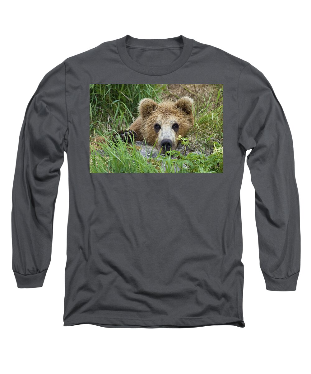 00782025 Long Sleeve T-Shirt featuring the photograph Brown Bear Cub, Kamchatka by Sergey Gorshkov