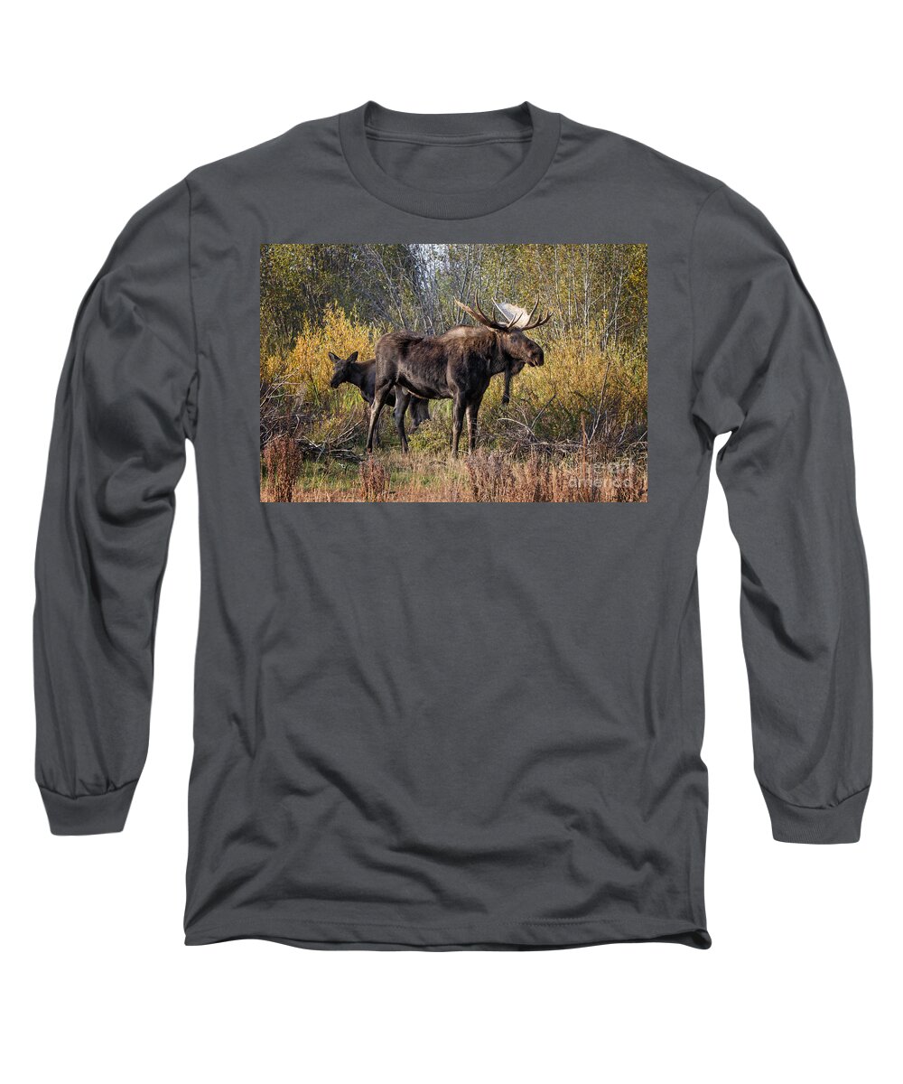 2012 Long Sleeve T-Shirt featuring the photograph Bull tolerates Calf by Ronald Lutz