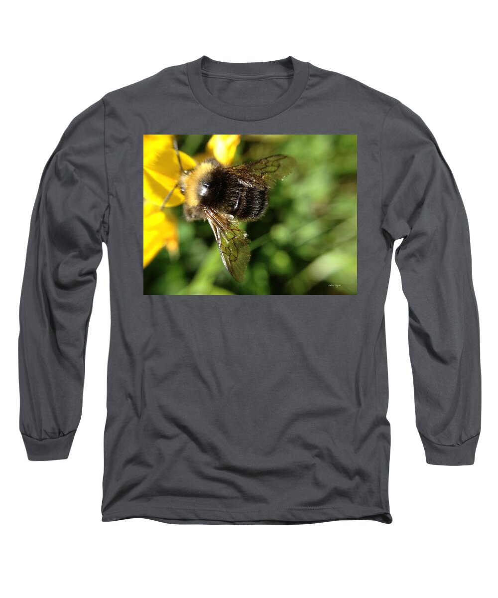 Bumblebee Long Sleeve T-Shirt featuring the photograph Bumble Bee by Chriss Pagani
