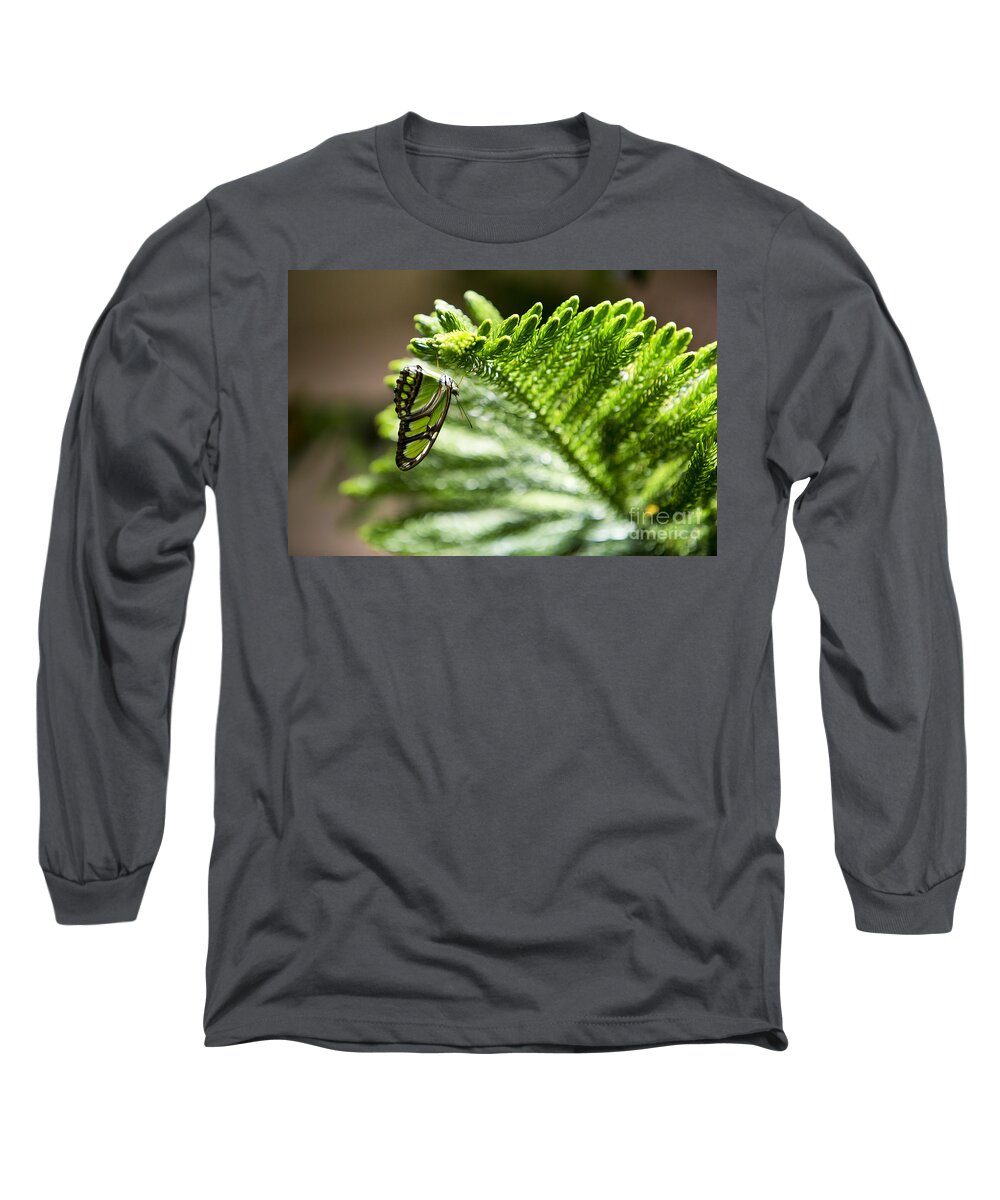Butterfly Long Sleeve T-Shirt featuring the photograph Camouflage by Leslie Leda