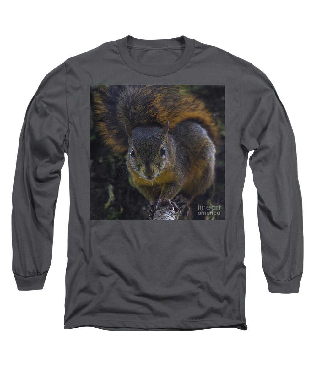 Squirrel Long Sleeve T-Shirt featuring the photograph Can I eat the Camera by Heiko Koehrer-Wagner