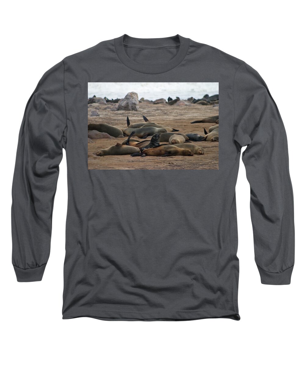 Seals Long Sleeve T-Shirt featuring the photograph Cape Cross Seal Colony by David Kleinsasser