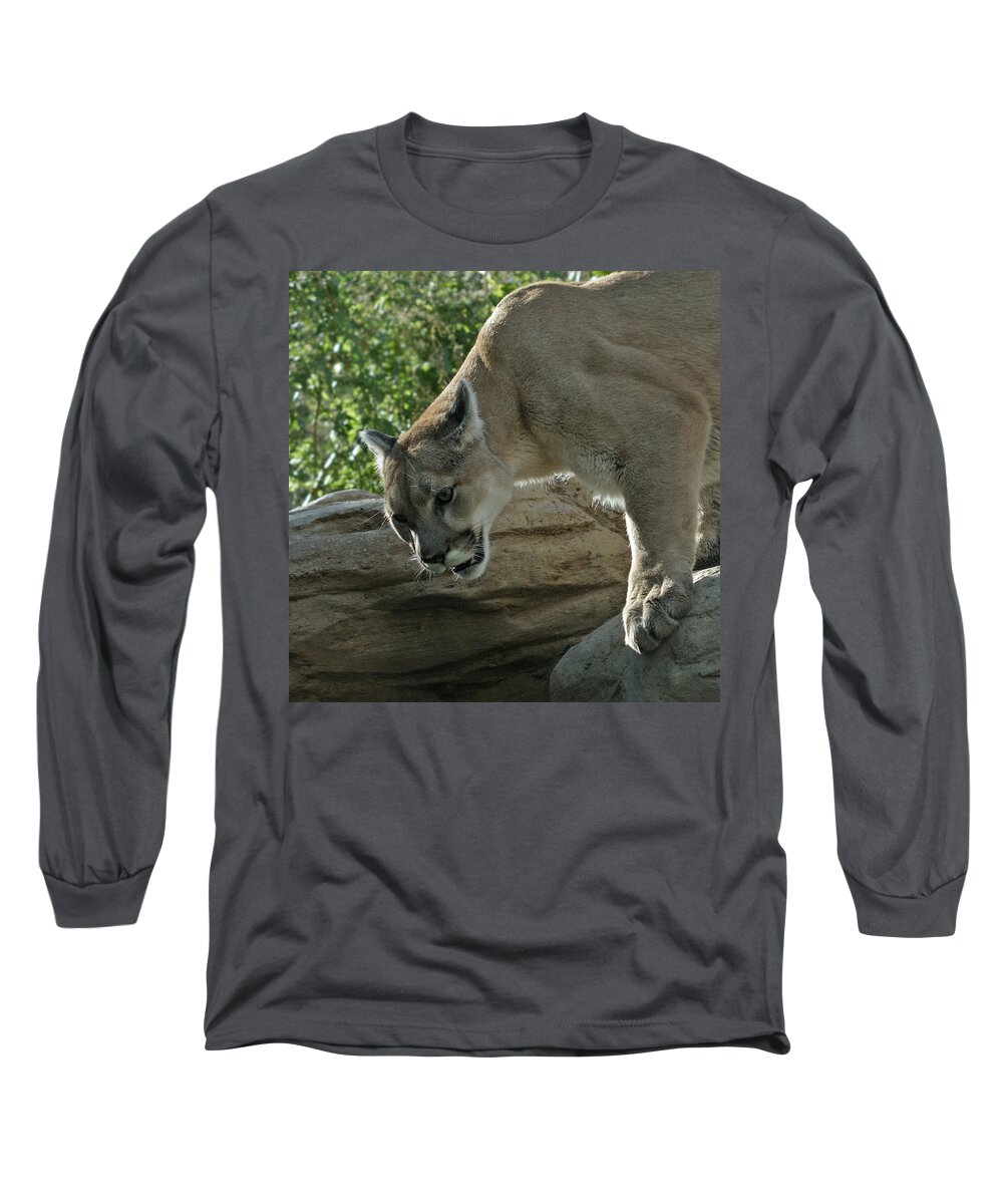 Mountain Lion Long Sleeve T-Shirt featuring the photograph Cat Attack by Ernest Echols