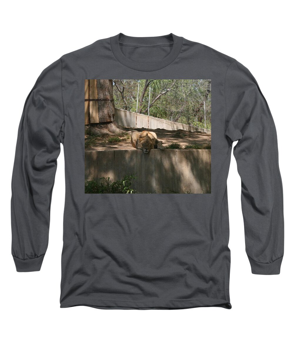Lion Long Sleeve T-Shirt featuring the photograph Cat Nap by Stacy C Bottoms
