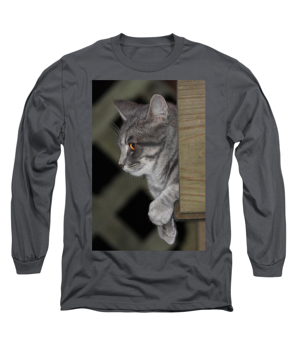 Cat Long Sleeve T-Shirt featuring the photograph Cat On Steps by Daniel Reed