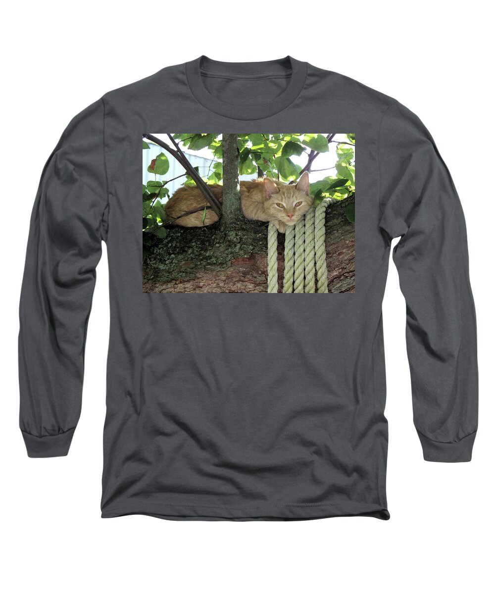 Tree Long Sleeve T-Shirt featuring the photograph Catnap Time by Thomas Woolworth
