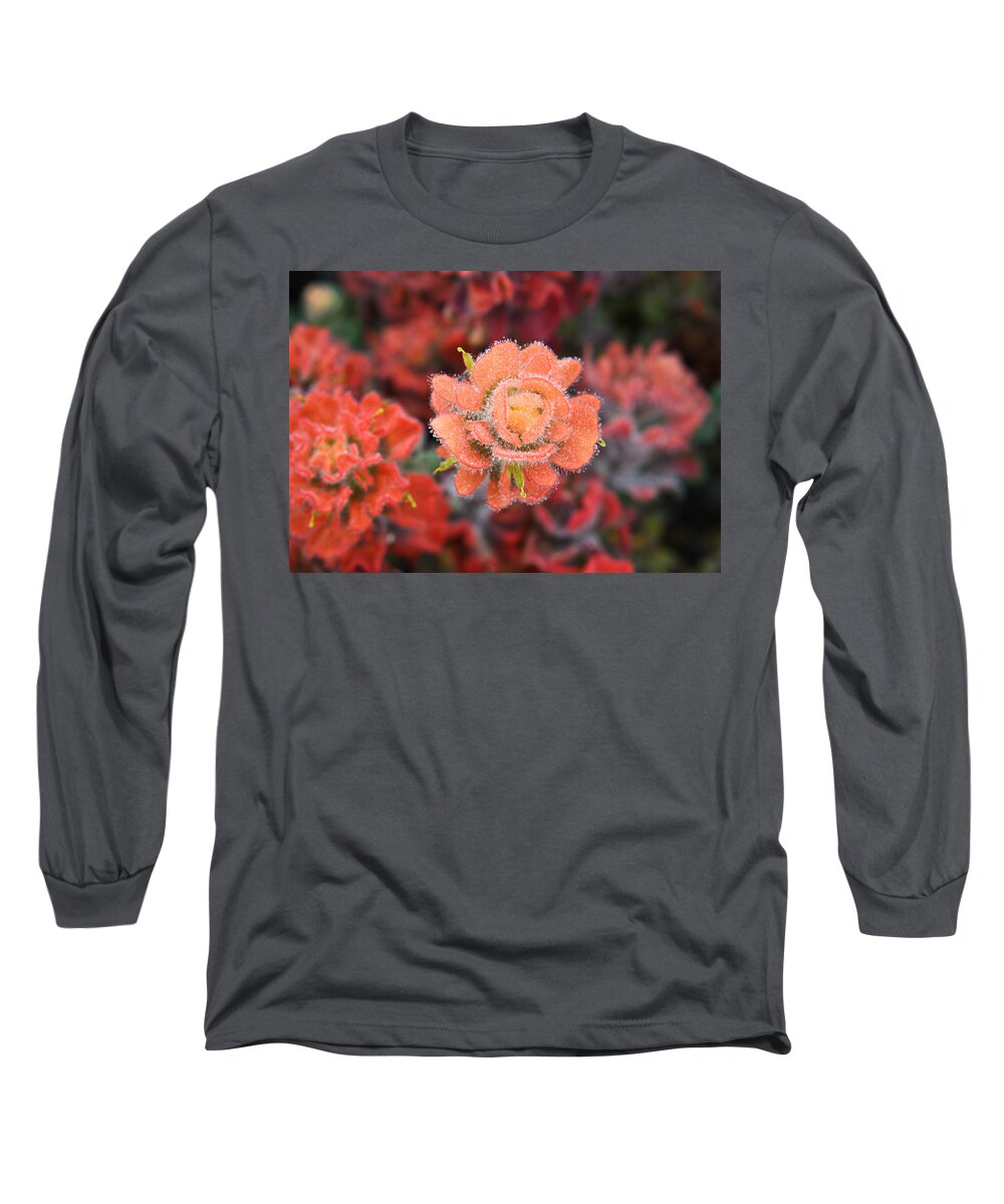 Flowers Long Sleeve T-Shirt featuring the photograph Coastline Color by Diane Bohna