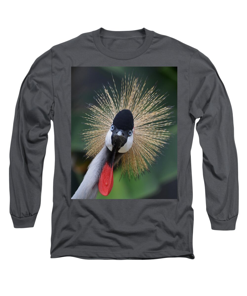Bird Long Sleeve T-Shirt featuring the photograph East African Crowned Crane by Maggy Marsh