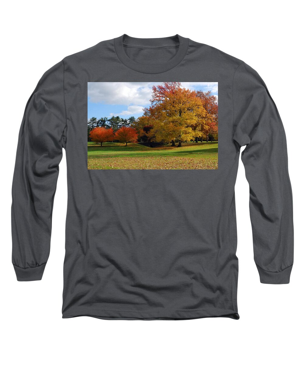 Landscape Long Sleeve T-Shirt featuring the photograph Fall Foliage by Lisa Phillips