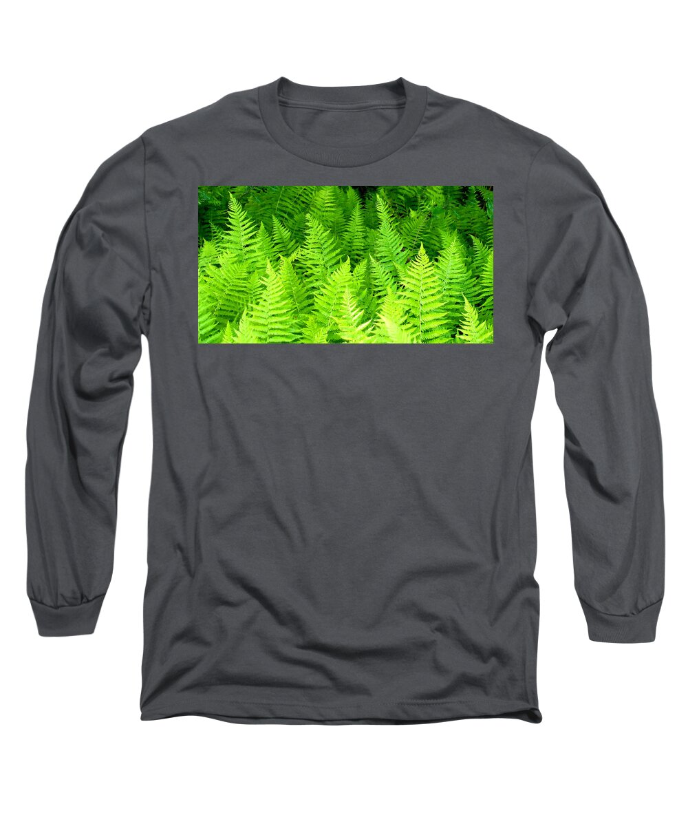 Ferns Long Sleeve T-Shirt featuring the photograph Ferns Galore filtered by Duane McCullough