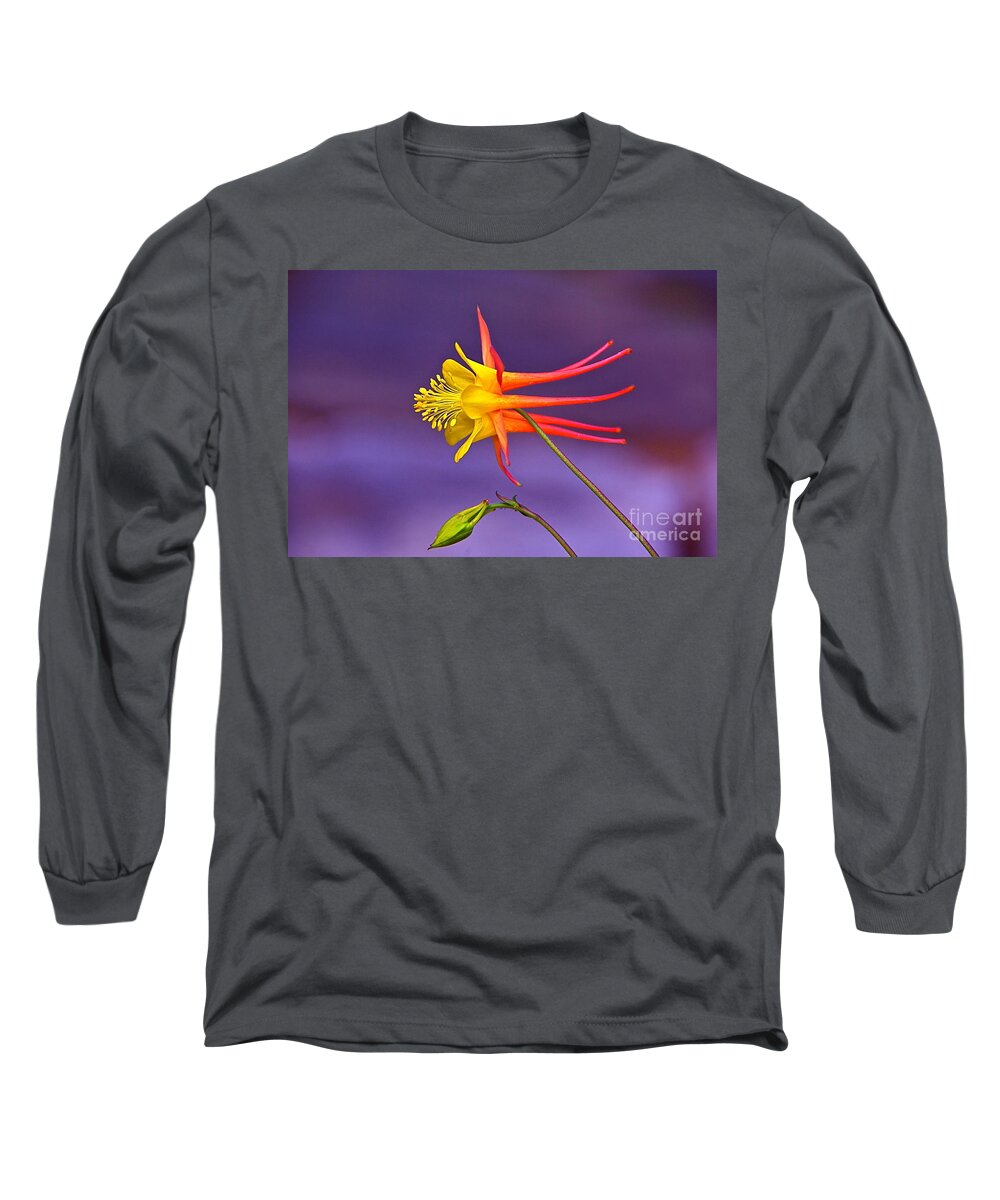 Flight Of Fancy Long Sleeve T-Shirt featuring the photograph Flight Of Fancy by Byron Varvarigos