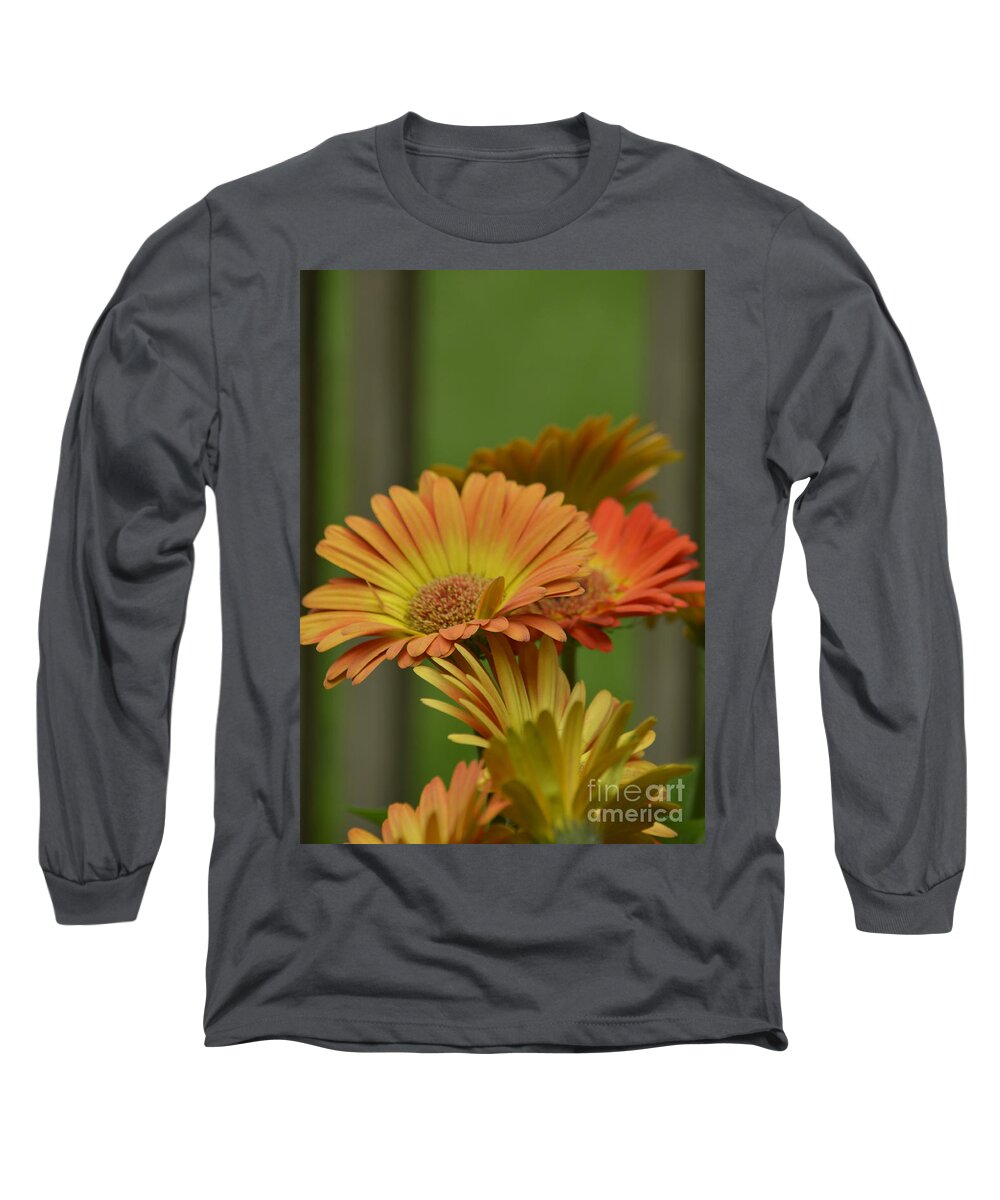 Flowers Long Sleeve T-Shirt featuring the photograph Gerber Daises by Donna Brown