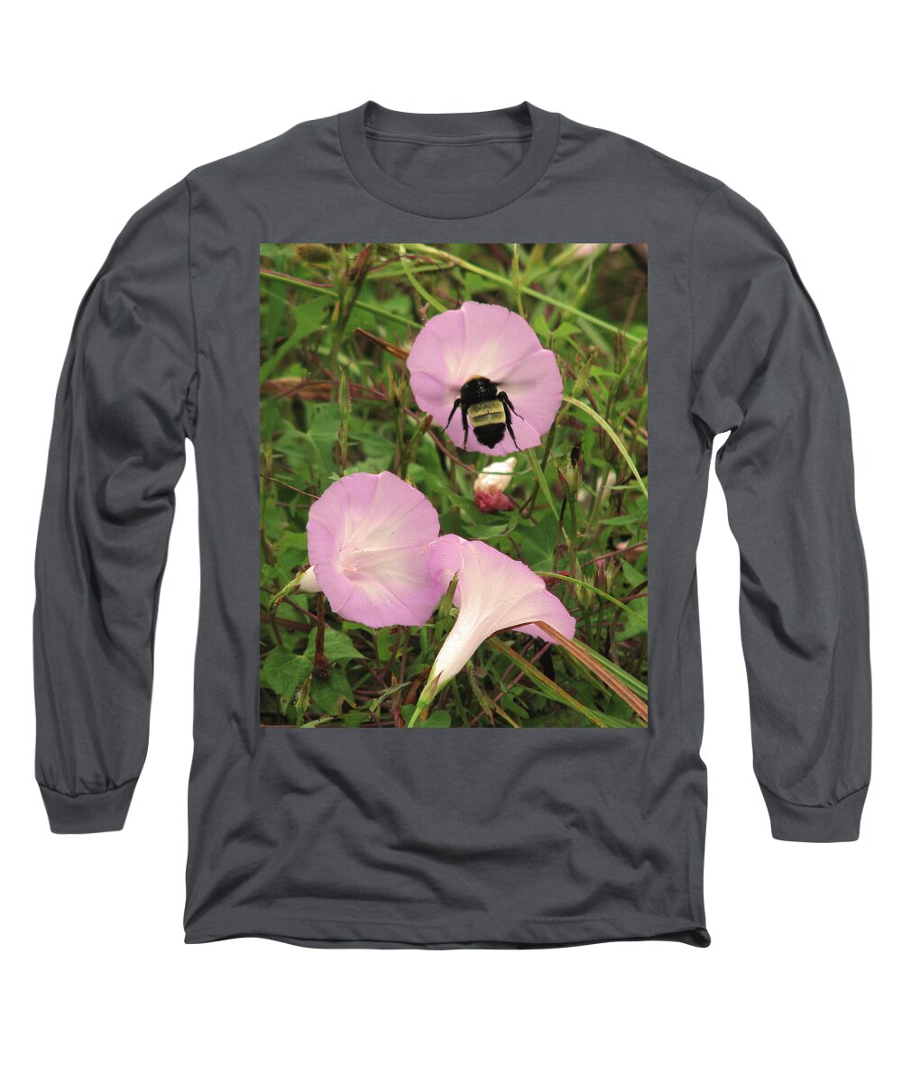 Nature Long Sleeve T-Shirt featuring the photograph Glory Bee by Peggy Urban