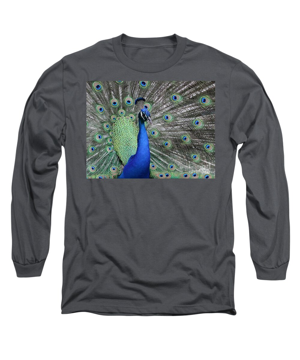 Peacock Long Sleeve T-Shirt featuring the photograph Handsome Peacock by Sabrina L Ryan