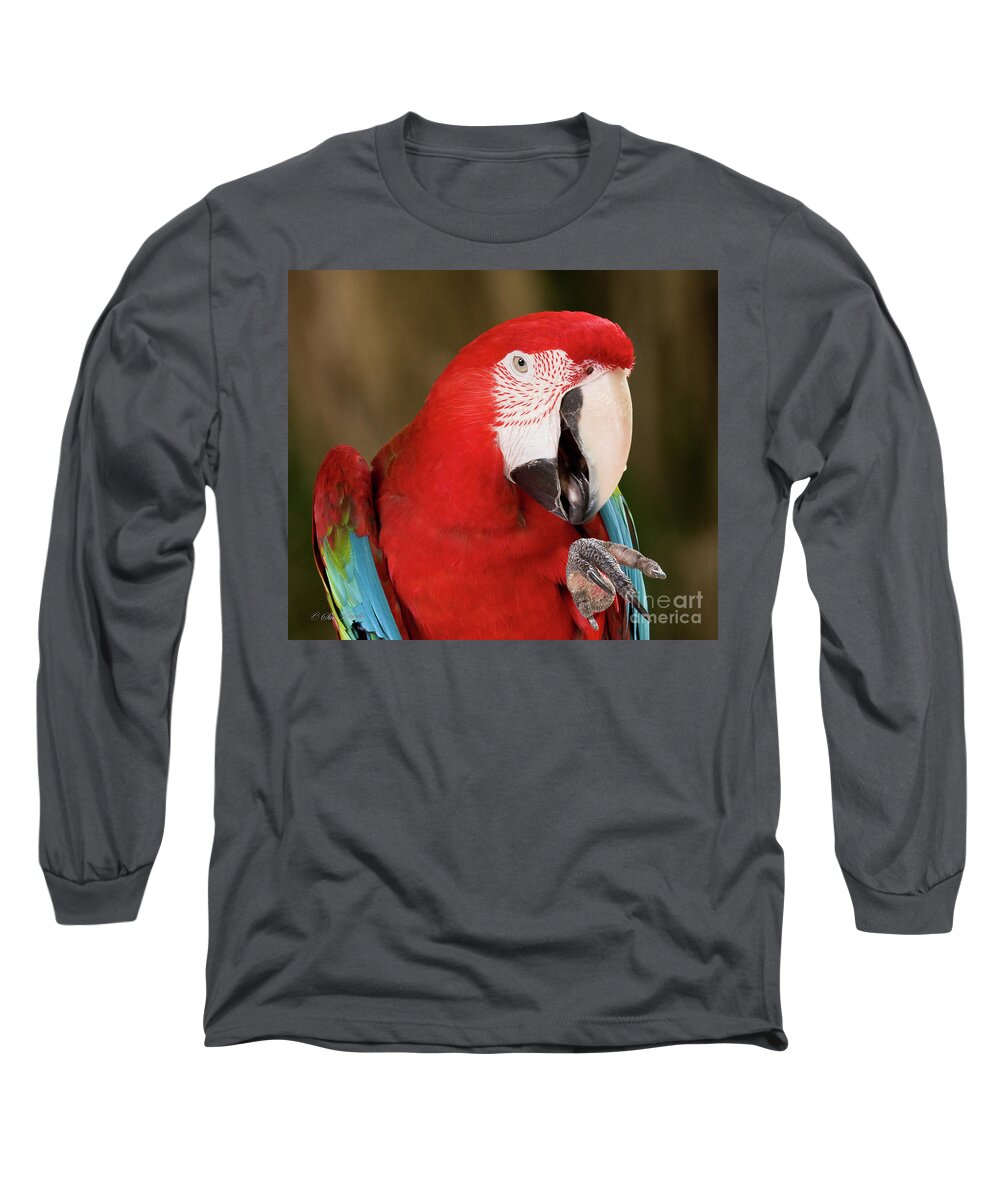 Birds Long Sleeve T-Shirt featuring the photograph He went that way by Sue Karski