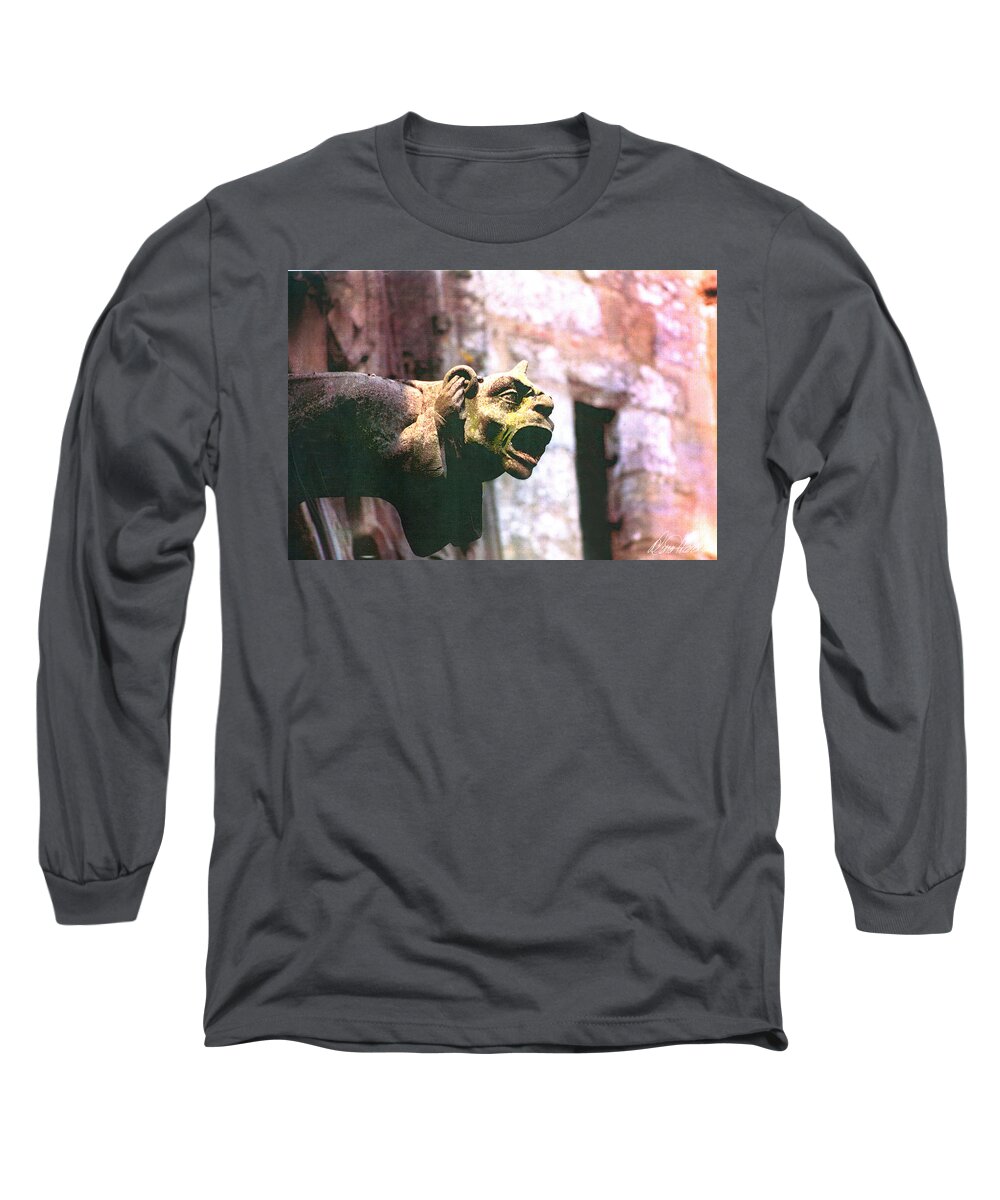 Gargoyle Long Sleeve T-Shirt featuring the photograph Hear No Evil by Diana Haronis