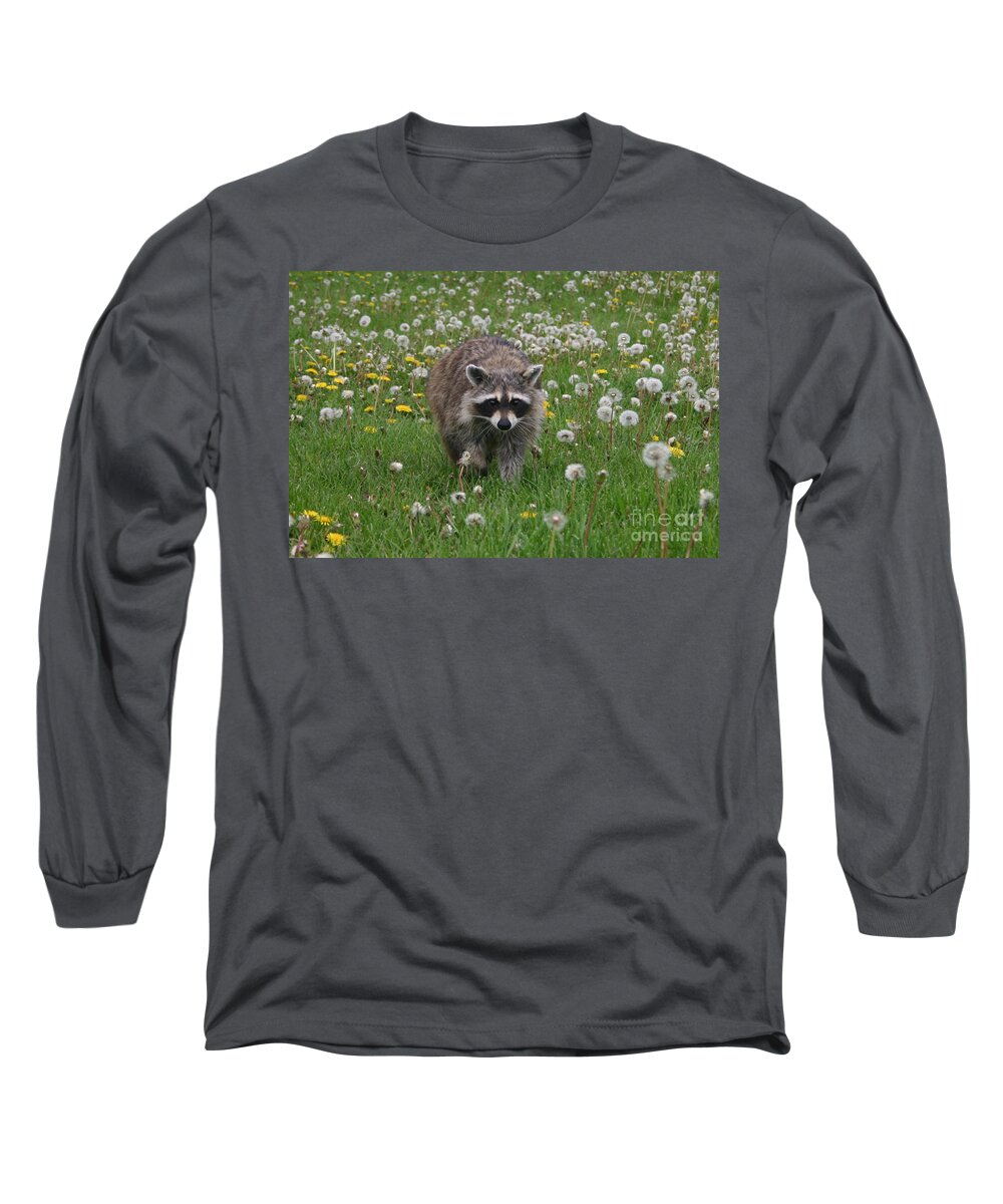 Alyce Taylor Long Sleeve T-Shirt featuring the photograph Hey What You Got There by Alyce Taylor