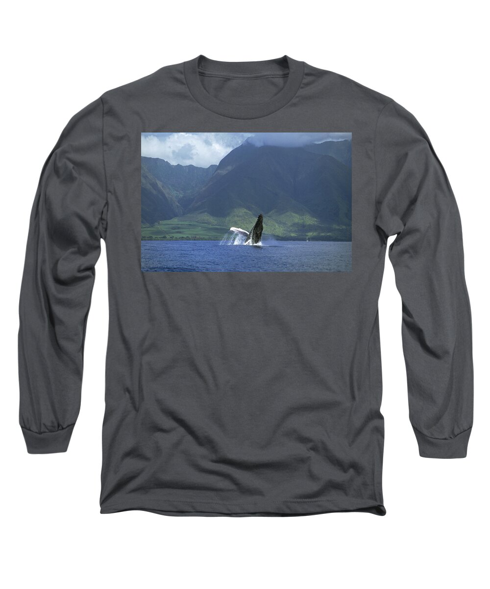 00128640 Long Sleeve T-Shirt featuring the photograph Humpback Whale Breaching Maui by Flip Nicklin