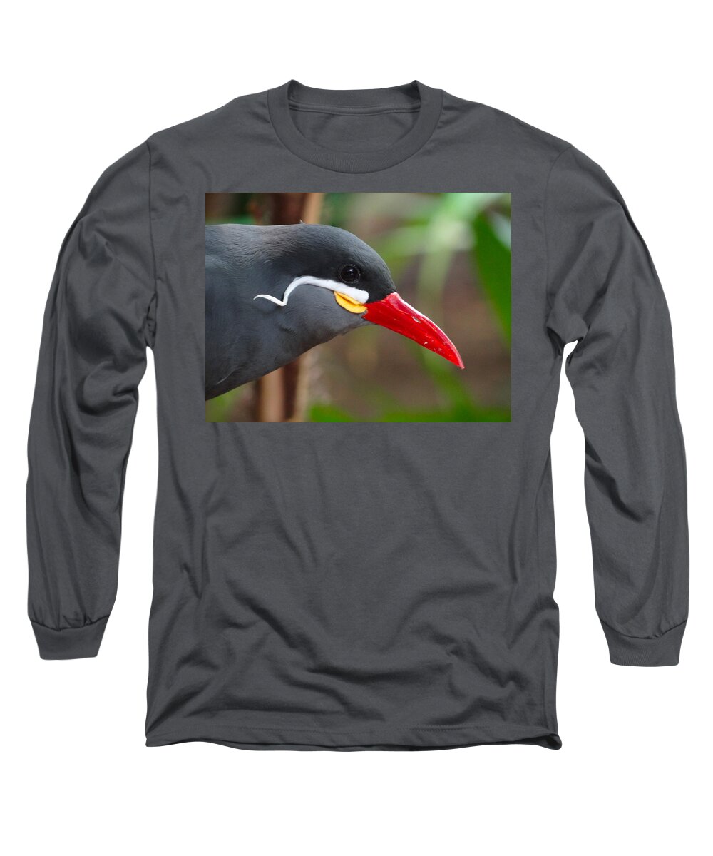 Bird Long Sleeve T-Shirt featuring the photograph Inca Tern by Julia Wilcox