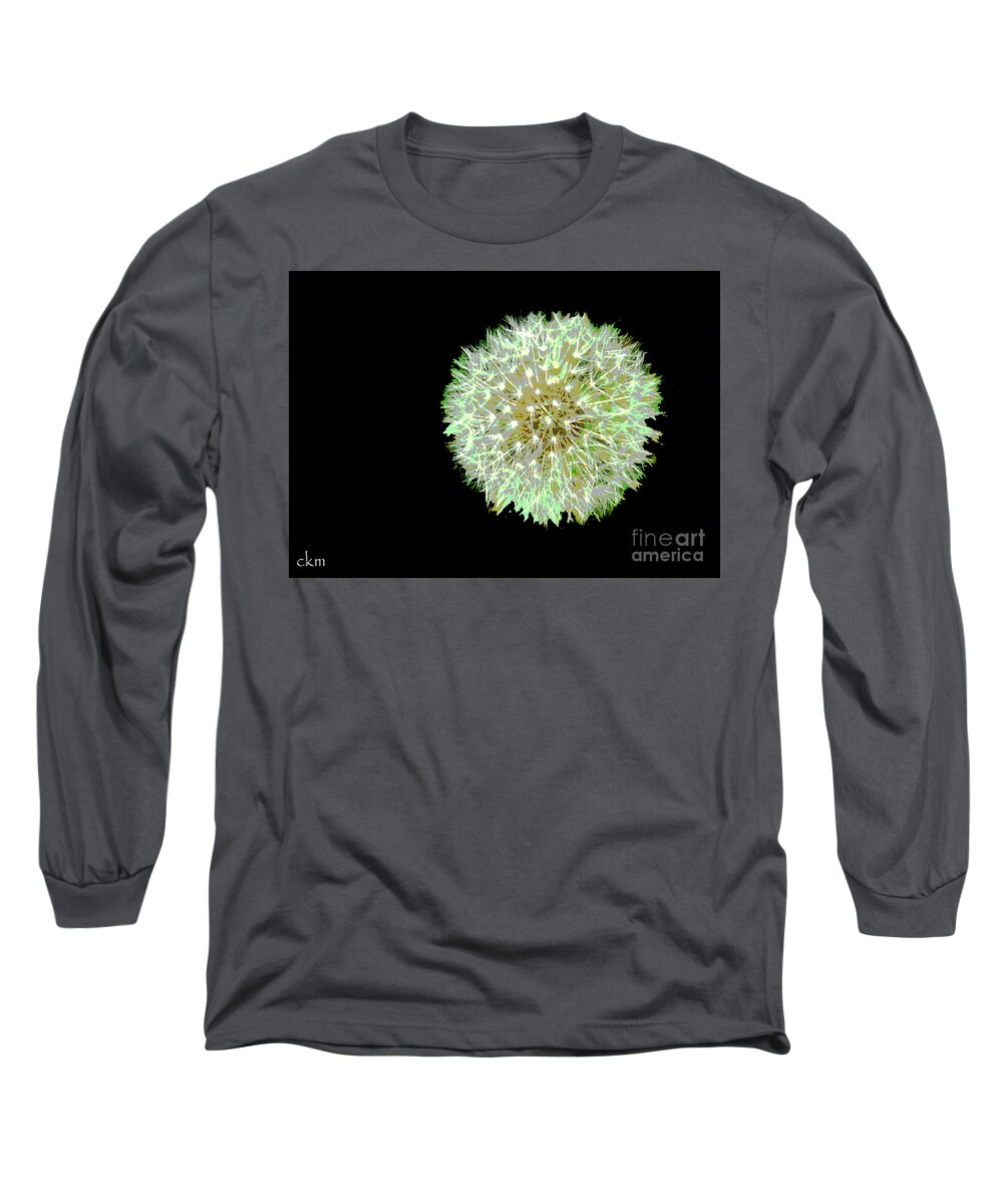 Flowers Long Sleeve T-Shirt featuring the photograph Just Dandy by Cindy Manero