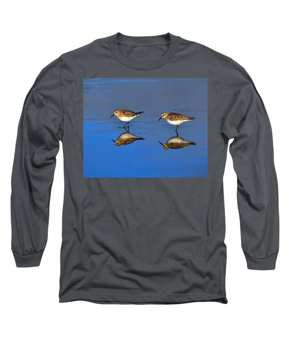 White-rumped Sandpiper Long Sleeve T-Shirt featuring the photograph Juvenile White-rumped Sandpipers by Tony Beck