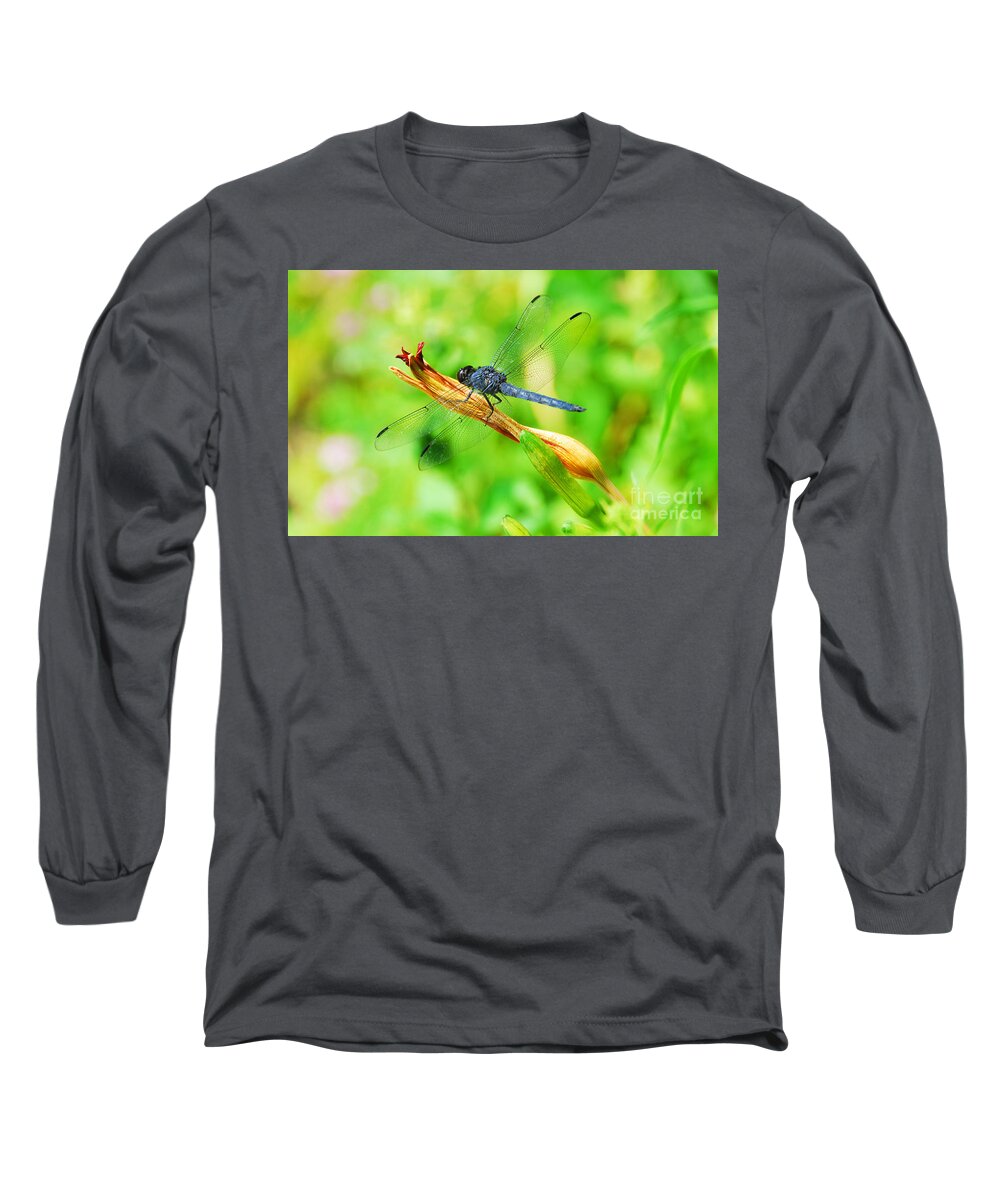 Nature Long Sleeve T-Shirt featuring the photograph Lace Wings by Cindy Manero