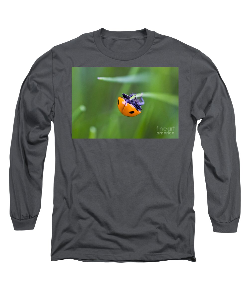 Landscape Long Sleeve T-Shirt featuring the photograph Ladybug Topsy Turvy by Donna L Munro