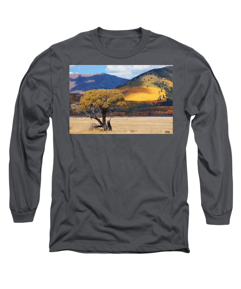 Aspen Long Sleeve T-Shirt featuring the photograph Lone Tree by Jim Garrison