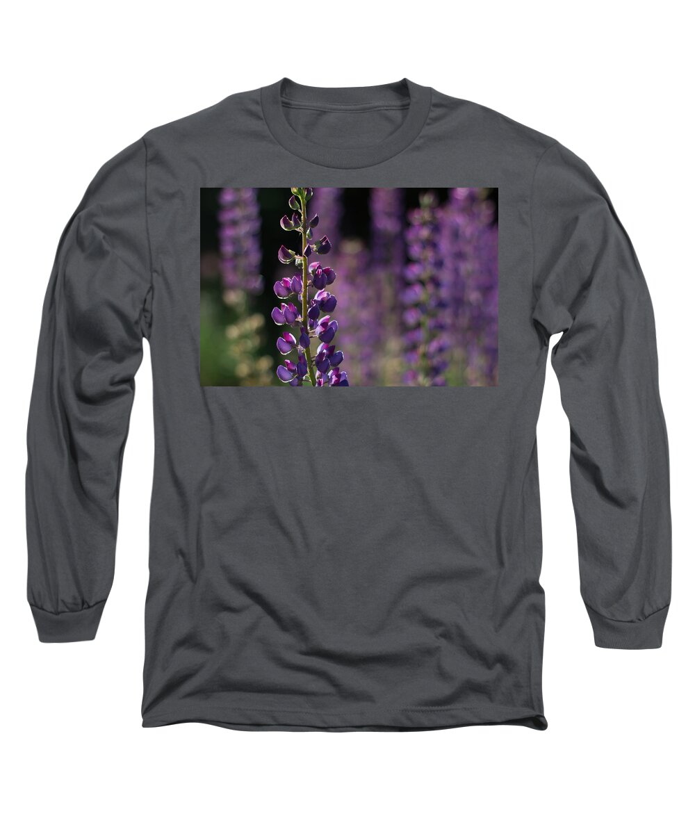 Canada Long Sleeve T-Shirt featuring the photograph Lupines by Jakub Sisak