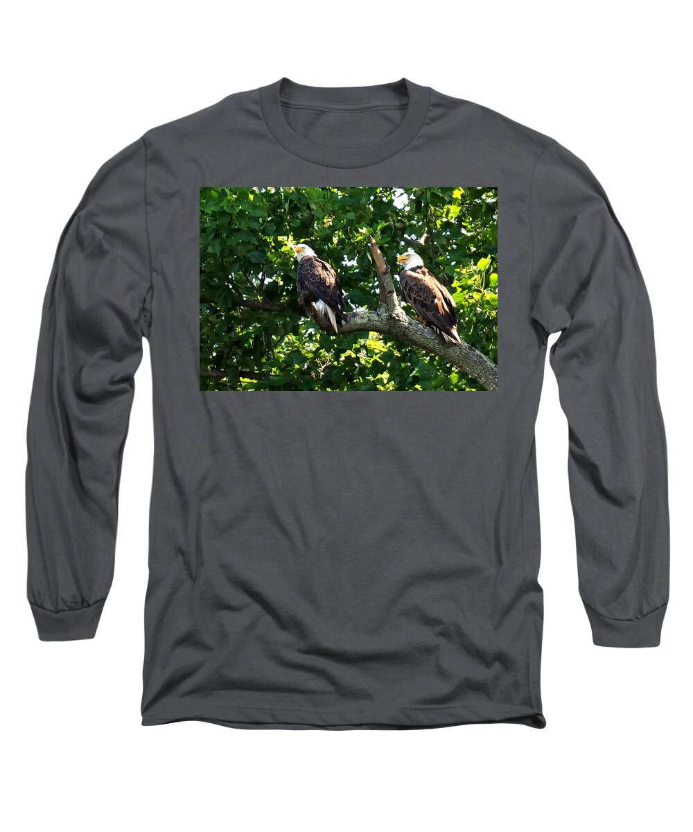 Eagles Mating Long Sleeve T-Shirt featuring the photograph Mating Pair by Randall Branham