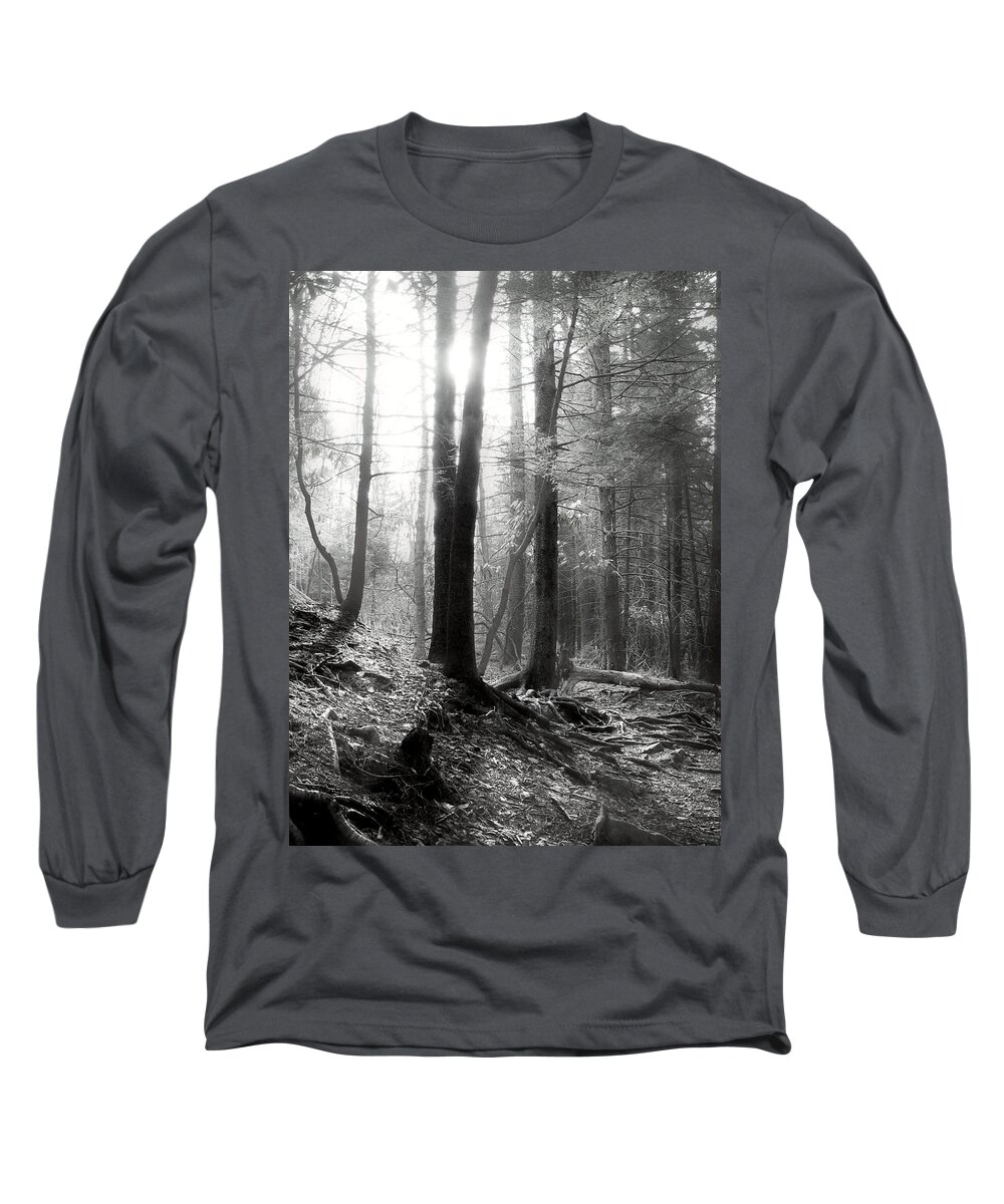 Sunlight Long Sleeve T-Shirt featuring the photograph Morning Sun by Mary Almond