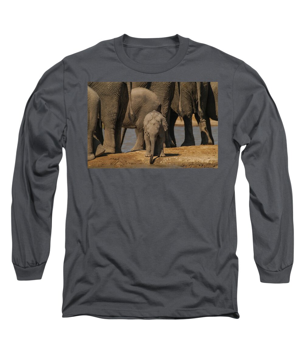 Action Long Sleeve T-Shirt featuring the photograph My own pool by Alistair Lyne