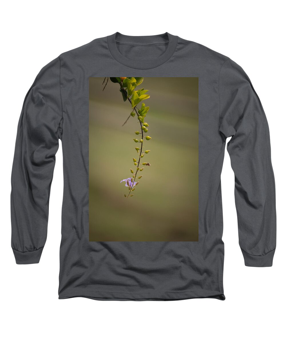 Offering Long Sleeve T-Shirt featuring the photograph Offering by SAURAVphoto Online Store