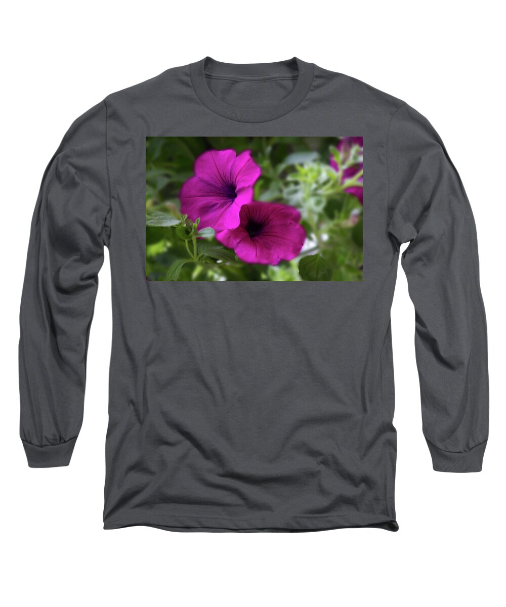 Flower Long Sleeve T-Shirt featuring the photograph Petunias by Barry Jones