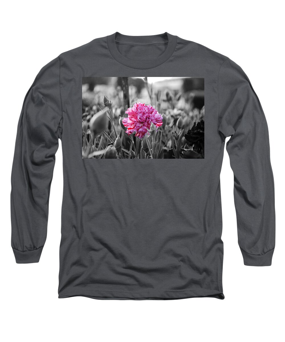 Pink Carnation Long Sleeve T-Shirt featuring the photograph Pink Carnation by Sumit Mehndiratta