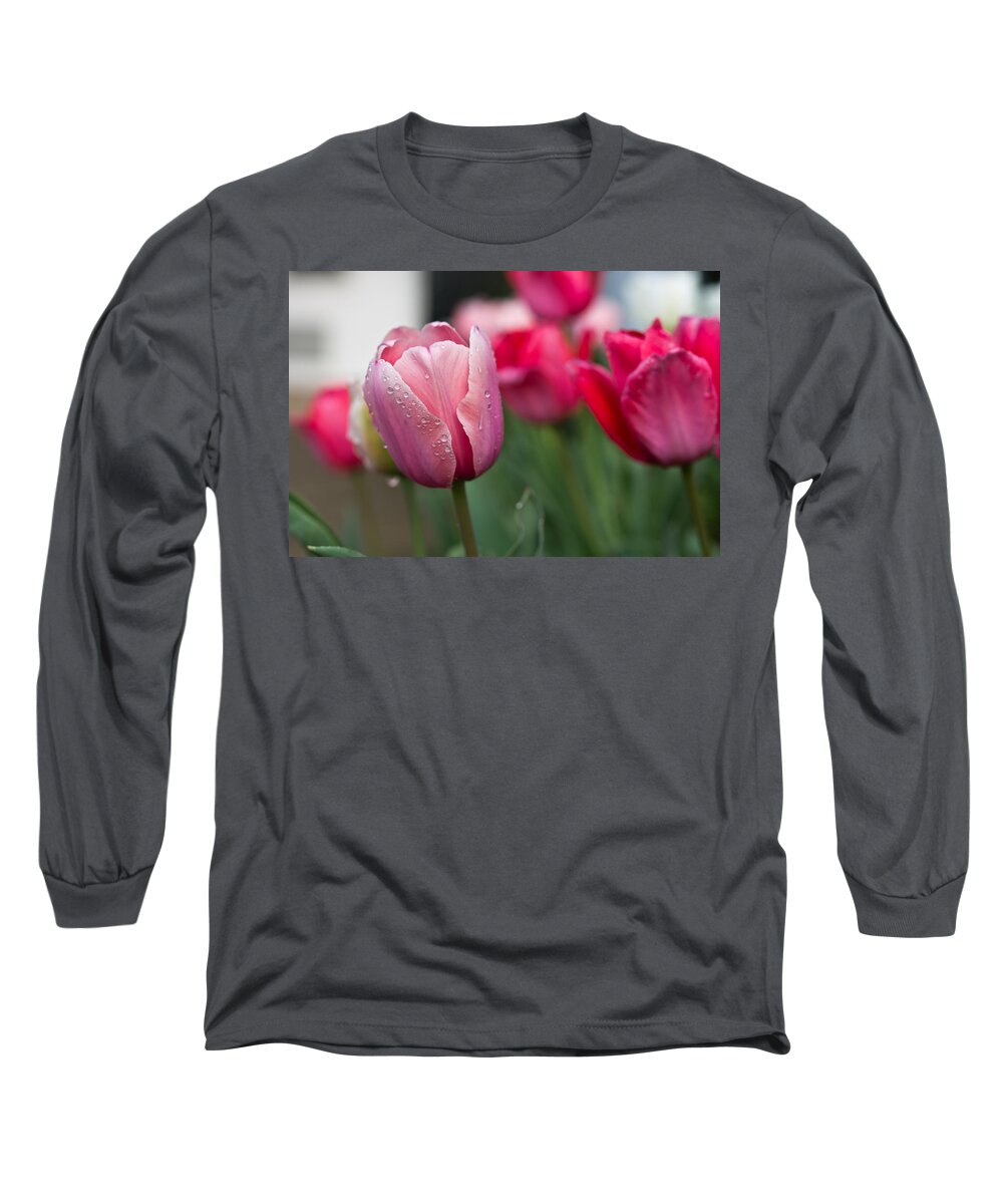 Dew Long Sleeve T-Shirt featuring the photograph Pink Tulips with Water Drops by Lori Coleman