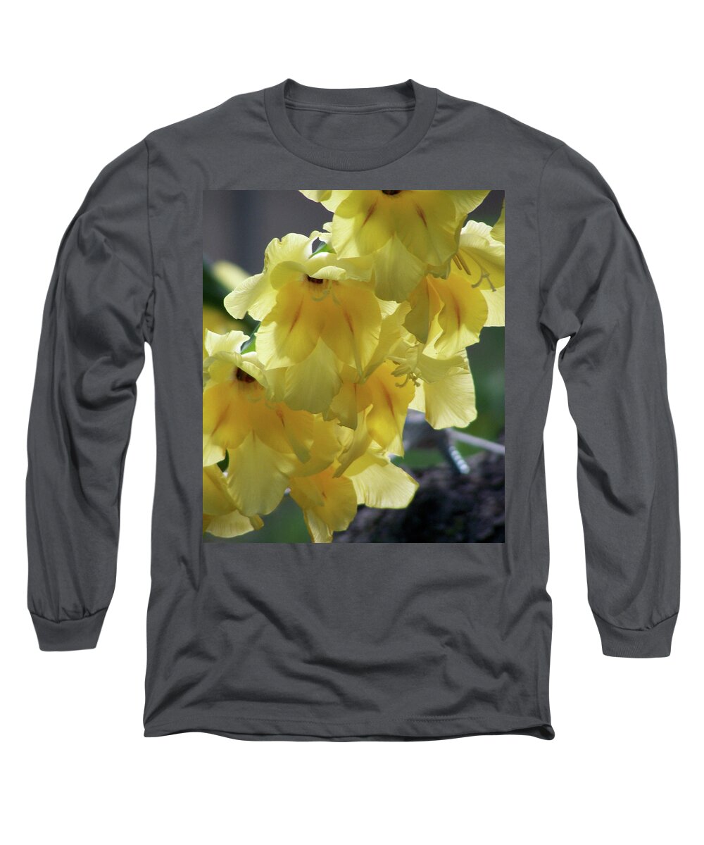 Flowers Long Sleeve T-Shirt featuring the photograph Radiance by Thomas Woolworth