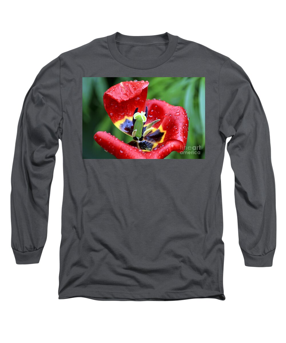 Flower Long Sleeve T-Shirt featuring the photograph Rain Kissed by Teresa Zieba