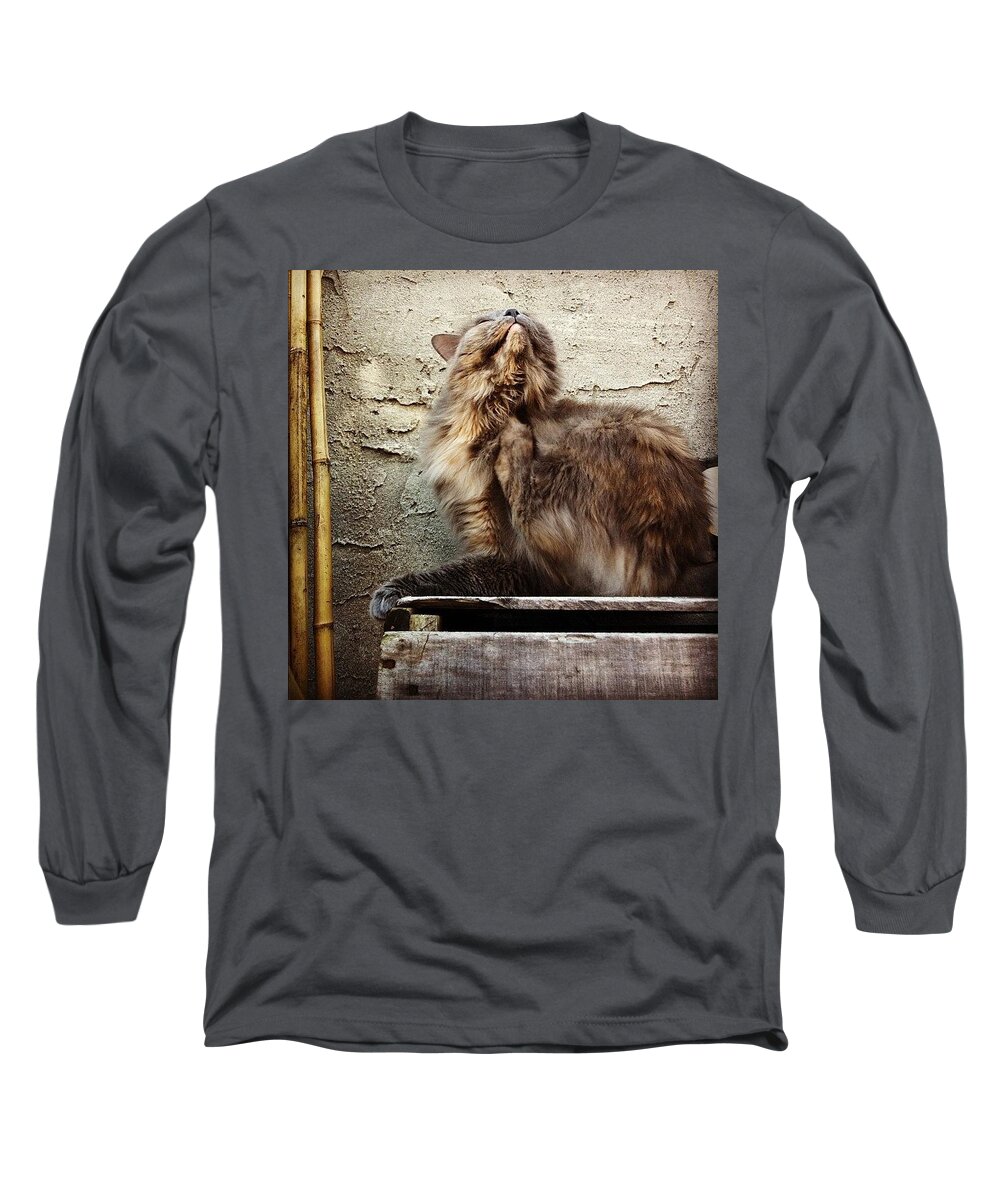 Cat Long Sleeve T-Shirt featuring the photograph Scritch Scratch by Katie Cupcakes