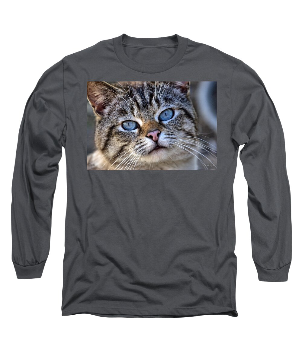 Siamese Long Sleeve T-Shirt featuring the photograph Siamese Feral Cat by Chriss Pagani