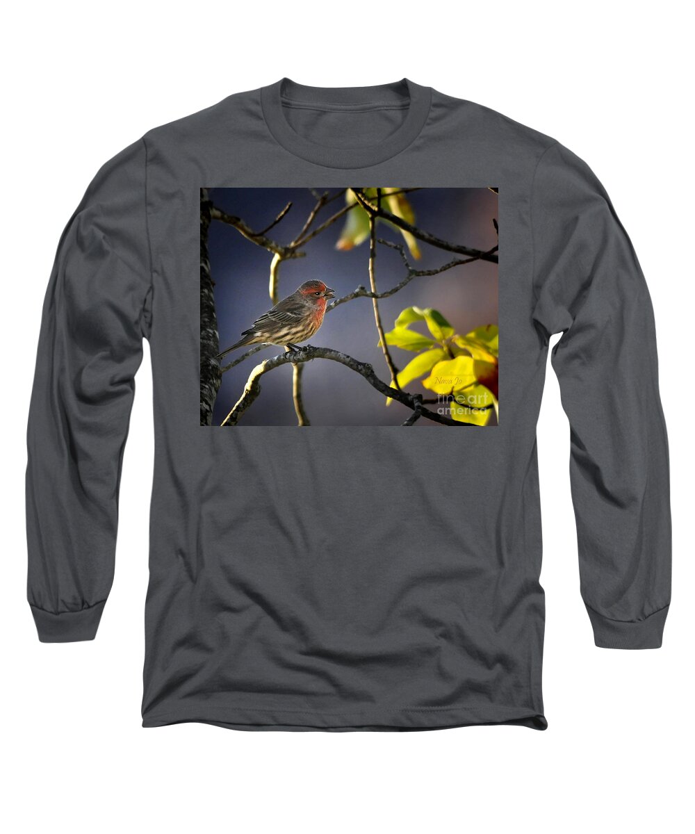 Nature Long Sleeve T-Shirt featuring the photograph Singing In The Morning by Nava Thompson
