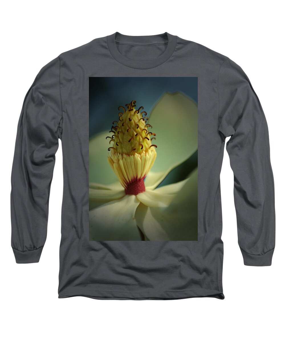 Magnolia Long Sleeve T-Shirt featuring the photograph Southern Magnolia Flower by David Weeks